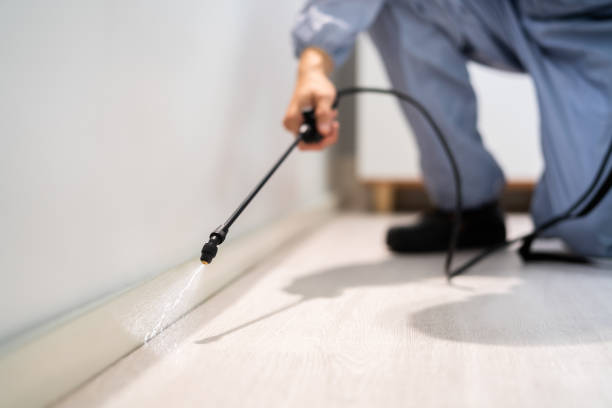 Licensed Termite Control service in Broomfield County County, CO - Nex Pest Control